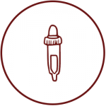 AnatomiaPato
